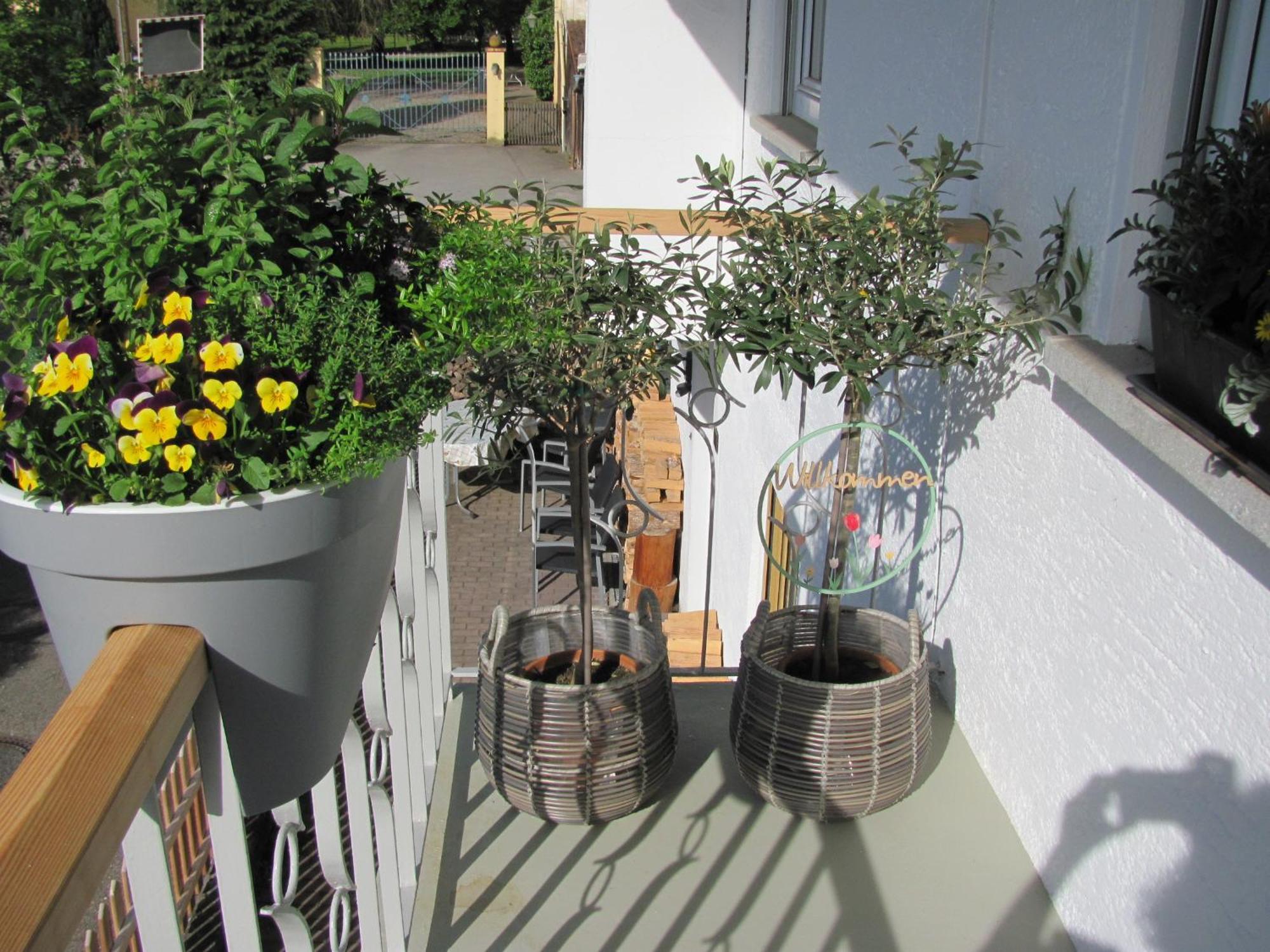 #1Gemuetliches Ruhiges Sonniges Balkonzimmer Mit Gemeinschaftsbad W-Lan Airport Nah Late Night Check In Haus Nr 9,5 Trunkelsberg Eksteriør bilde